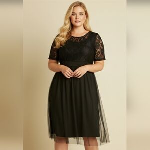 Claire France Elegant Black Lace Fit & Flare Dress, Whismigoth, Plus Size 3X